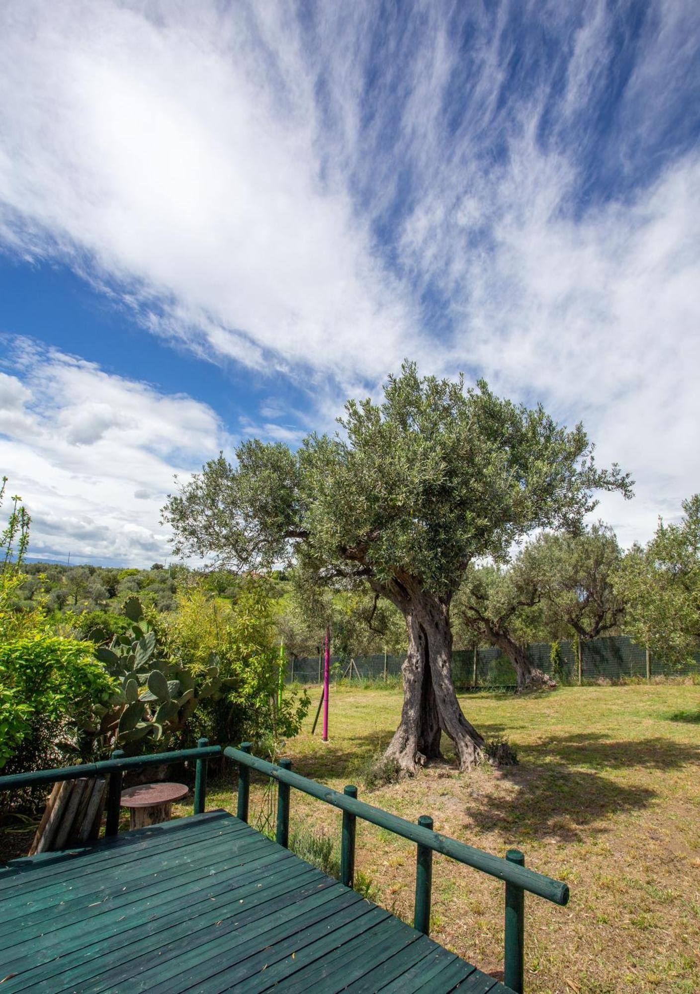 Casa Vacanze Punta Ferruccio Ortona Exteriör bild