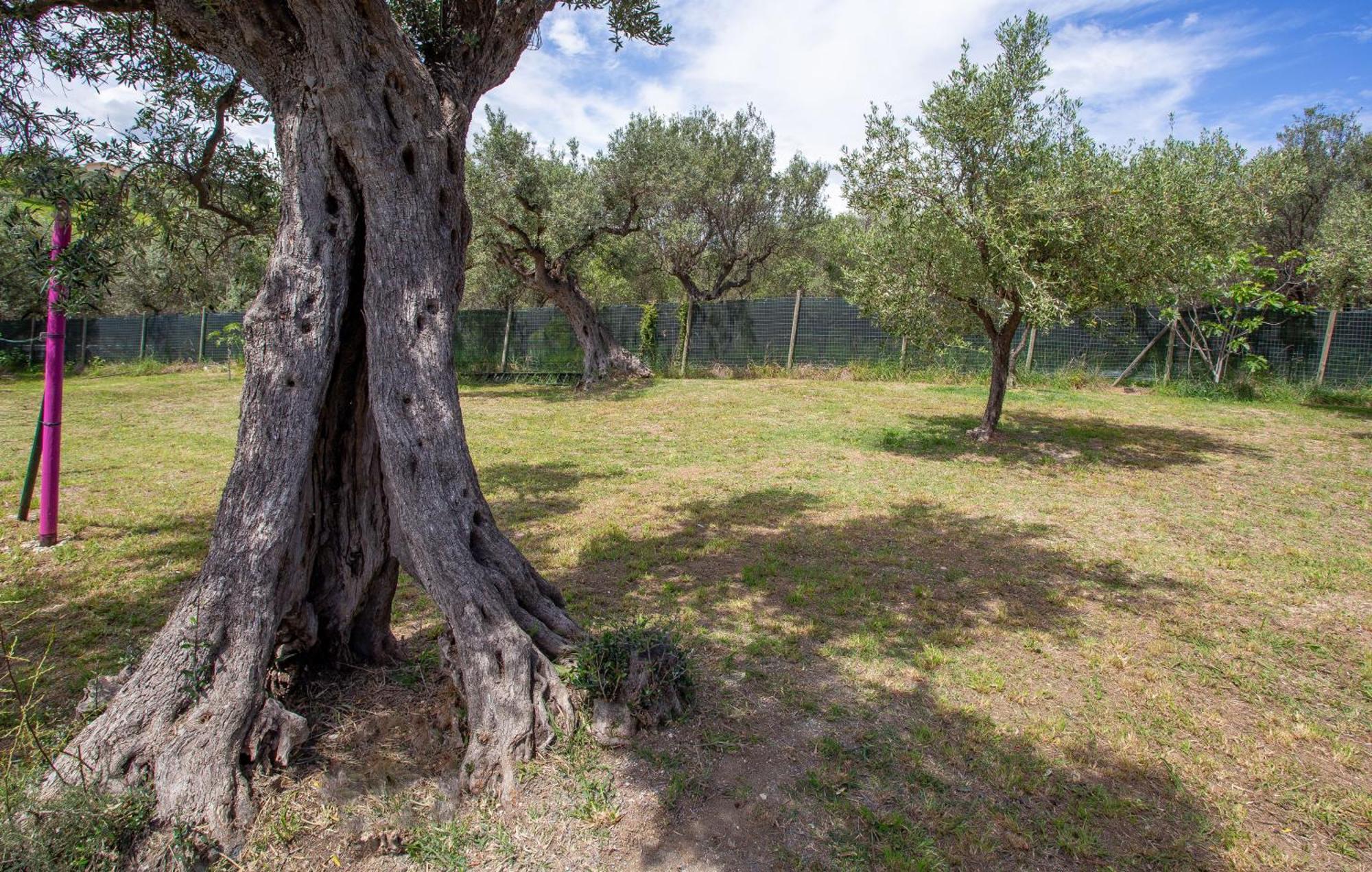 Casa Vacanze Punta Ferruccio Ortona Exteriör bild
